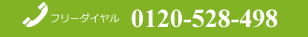 t[_C0120-528-498@ZtH[EVzHEzEŹA kp݂܂łCyɂAB